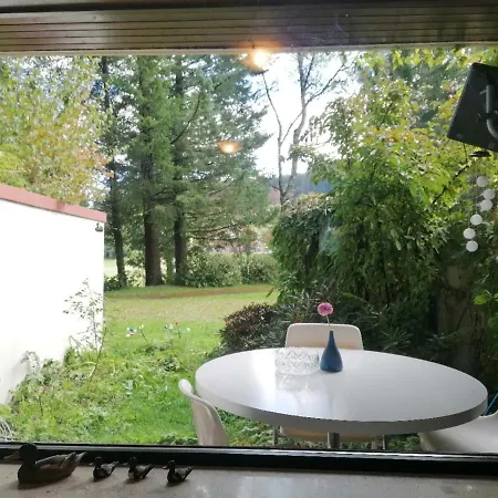 Ferienwohnung Schoene Wohnung 2D-Gebaeude Mit Mini-Garten Schoenwald im Schwarzwald Exterior photo