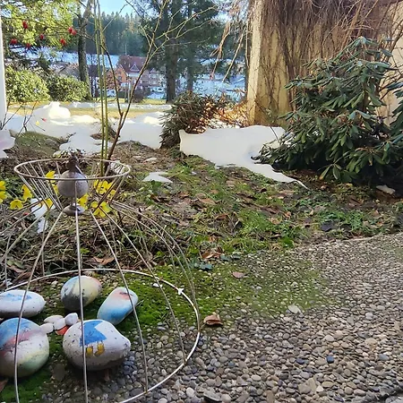 Ferienwohnung Schoene Wohnung 2D-Gebaeude Mit Mini-Garten Schoenwald im Schwarzwald Exterior photo