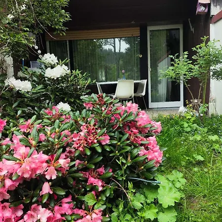 Ferienwohnung Schoene Wohnung 2D-Gebaeude Mit Mini-Garten Schoenwald im Schwarzwald Exterior photo