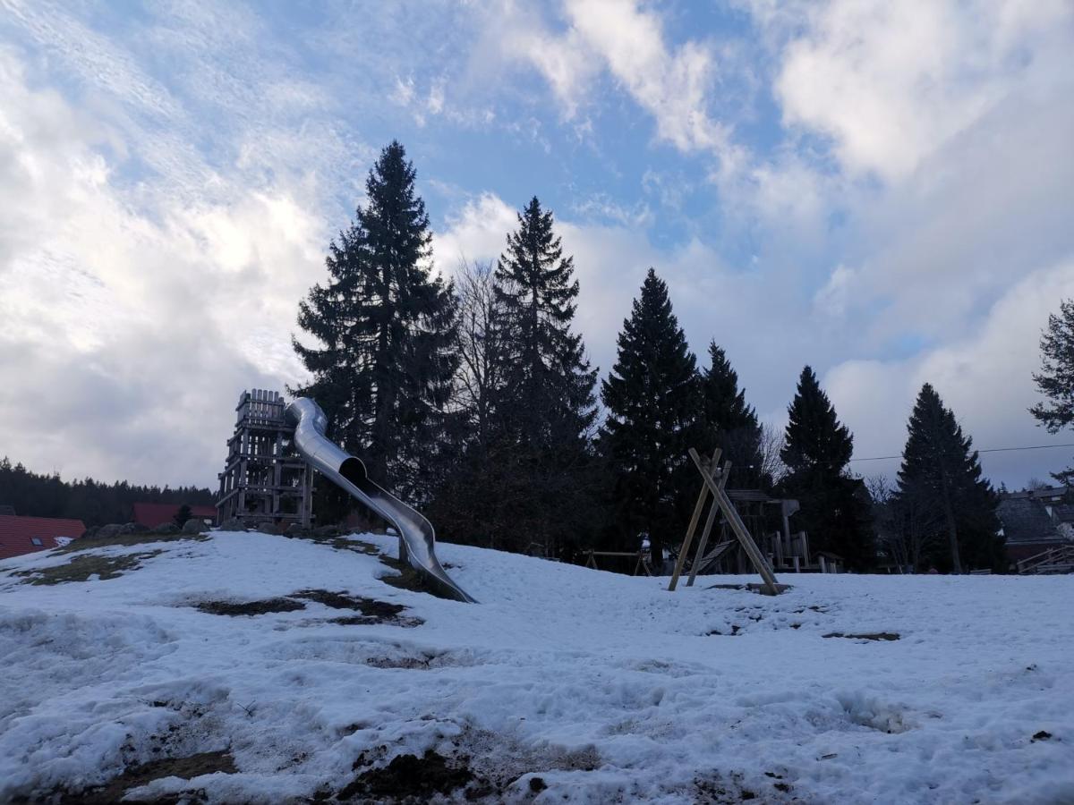 Schoene 2d-gebaeude Mit Mini-garten * Schoenwald im Schwarzwald