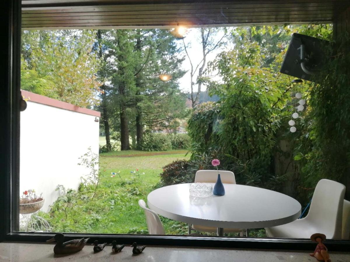 Schoene 2d-gebaeude Mit Mini-garten Apartment Schoenwald im Schwarzwald