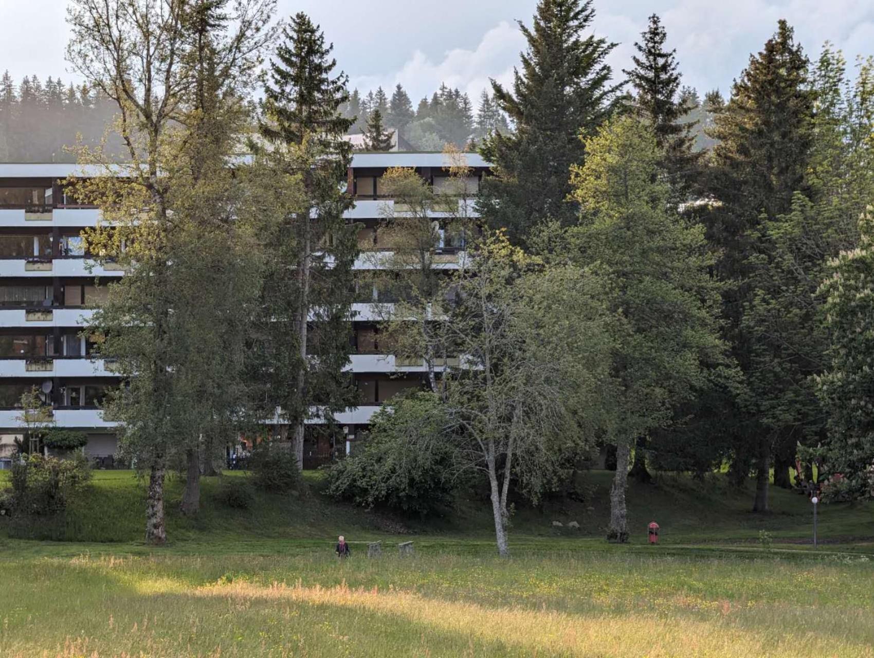 Schoene 2d-gebaeude Mit Mini-garten Schoenwald im Schwarzwald