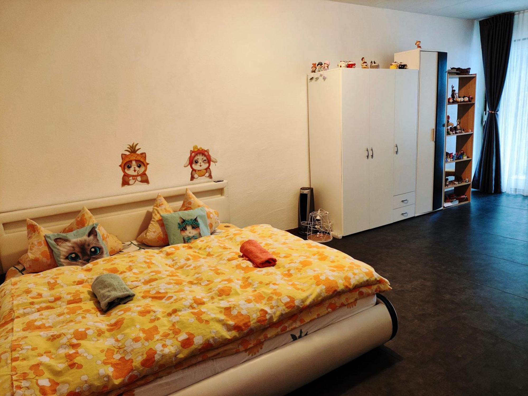 Schoene 2d-gebaeude Mit Mini-garten Apartment Schoenwald im Schwarzwald